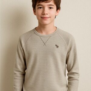 Abercrombie Kids Striped Gray Sweater